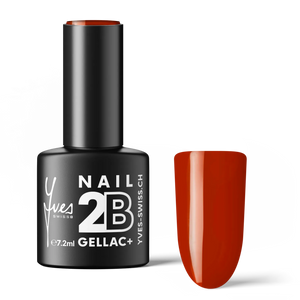 2B No. 004