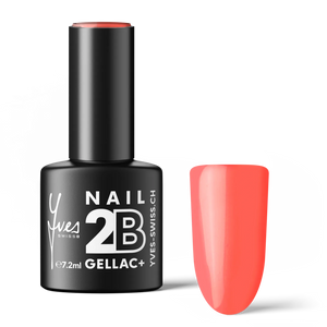 2B No. 014