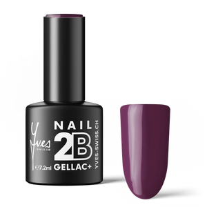 2B No. 020