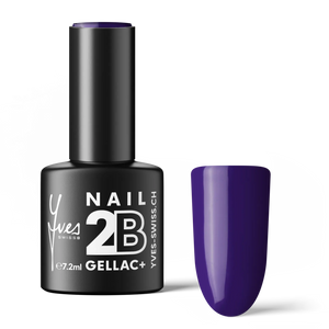 2B No. 022