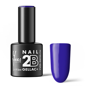 2B No. 023