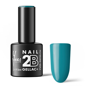 2B No. 024