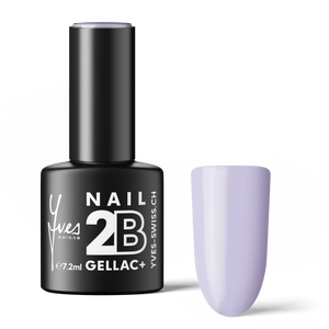 2B No. 028