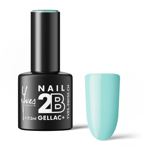 2B No. 029