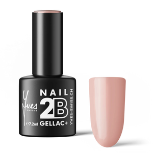 2B No. 036