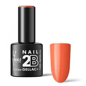 2B No. 039