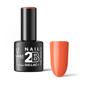2B No. 039 Coral Orange · Default Title