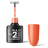 2B No. 039