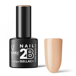 2B No. 042