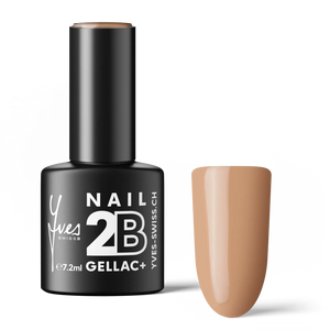 2B No. 044