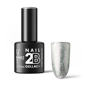 2B No. 051 Rainbow Silver · Default Title