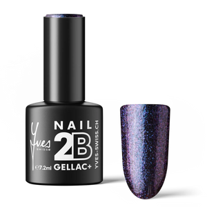 2B No. 064