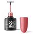 2B No. 081