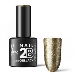2B No. 085