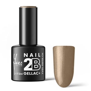 2B No. 088