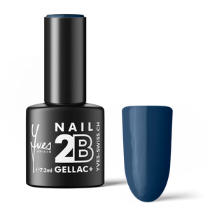 2B No. 099