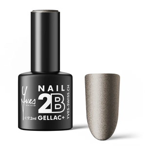 2B No. 116 Silver Dust
