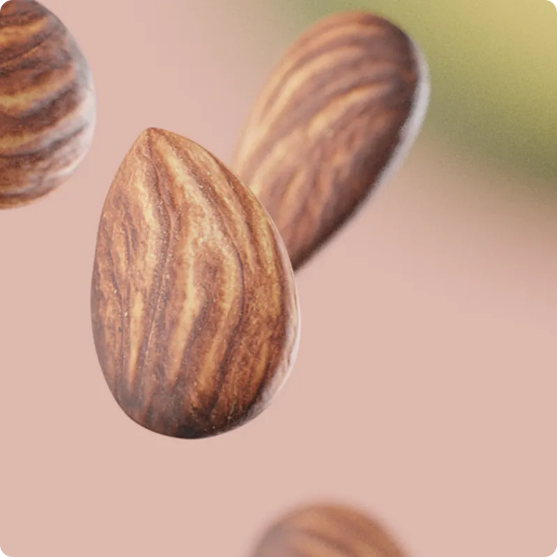 Fruitmix 2